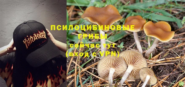 MDMA Premium VHQ Аркадак