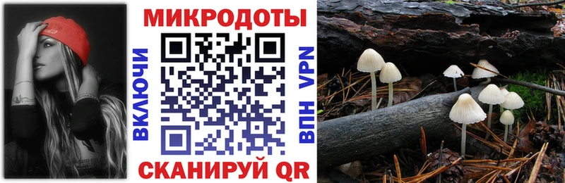 Псилоцибиновые грибы прущие грибы  Купить закладки  Медногорск 