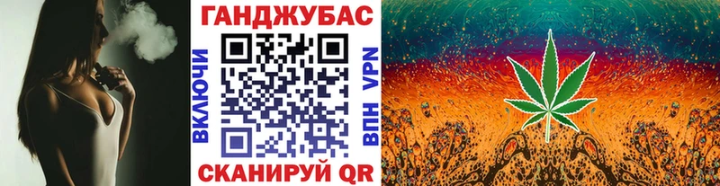 Купить где  Медногорск  Конопля план 